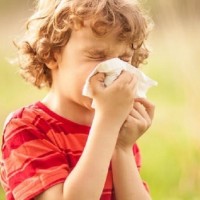 Are Allergies Affecting You or Your Children??
